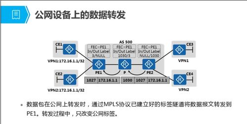 MPLS VPN技術原理與配置詳解
